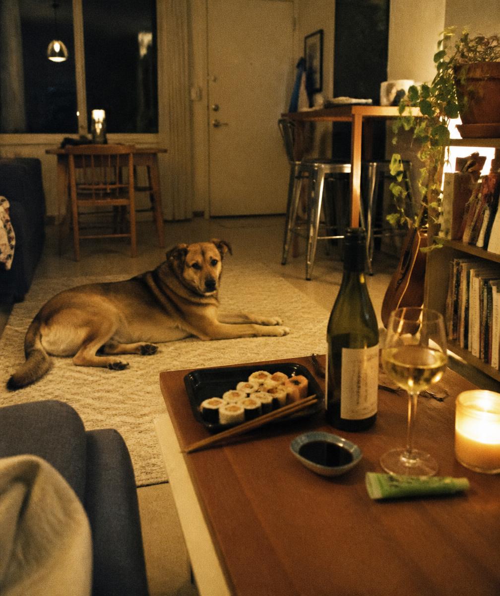 Sala de casa à noite, com o cão no tapete e sushi na mesa